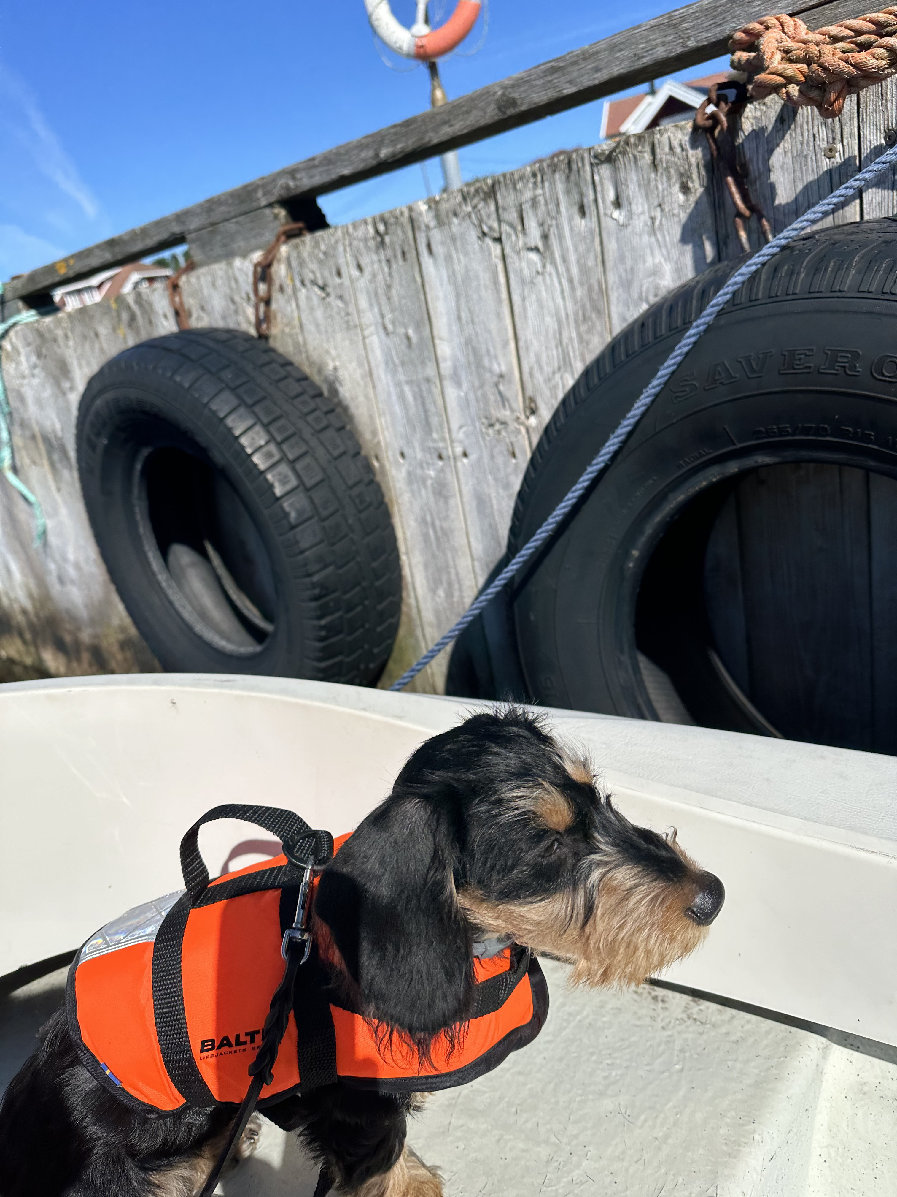 blog boat